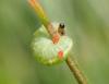 335264 – Photo : Catherine Reymonet-Smitten – France (19)